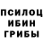 Псилоцибиновые грибы мухоморы Irene Masmanidou