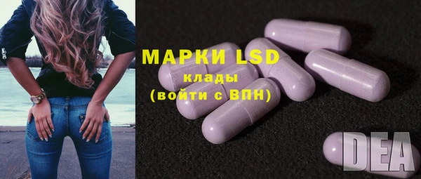 крисы Магас