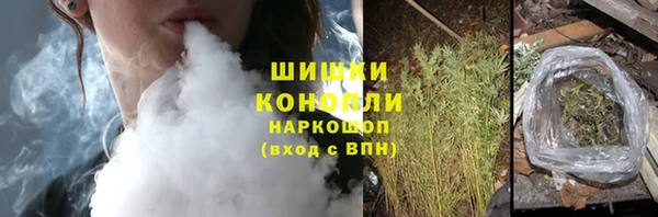 крисы Магас