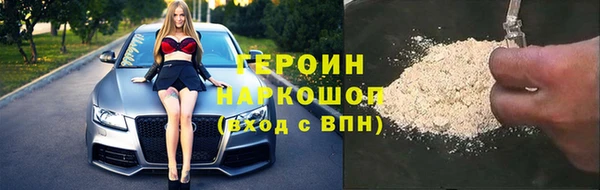 крисы Магас