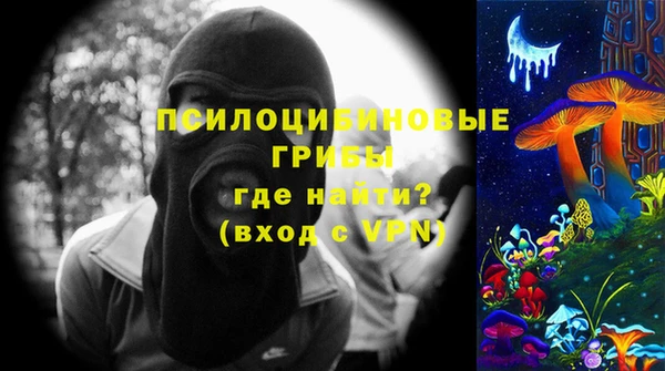 крисы Магас