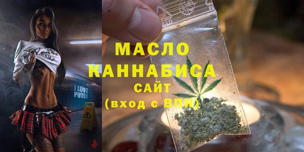крисы Магас