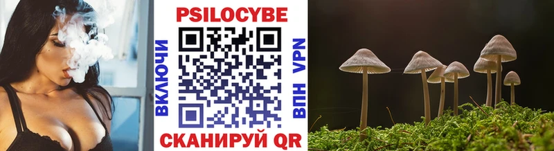 Купить закладки  Слободской  Псилоцибиновые грибы мухоморы 